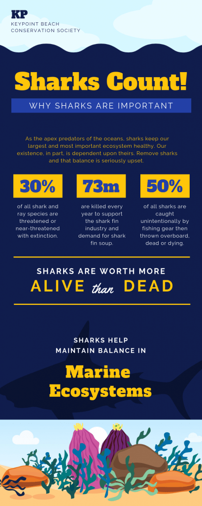 Infographic Courses Belize5